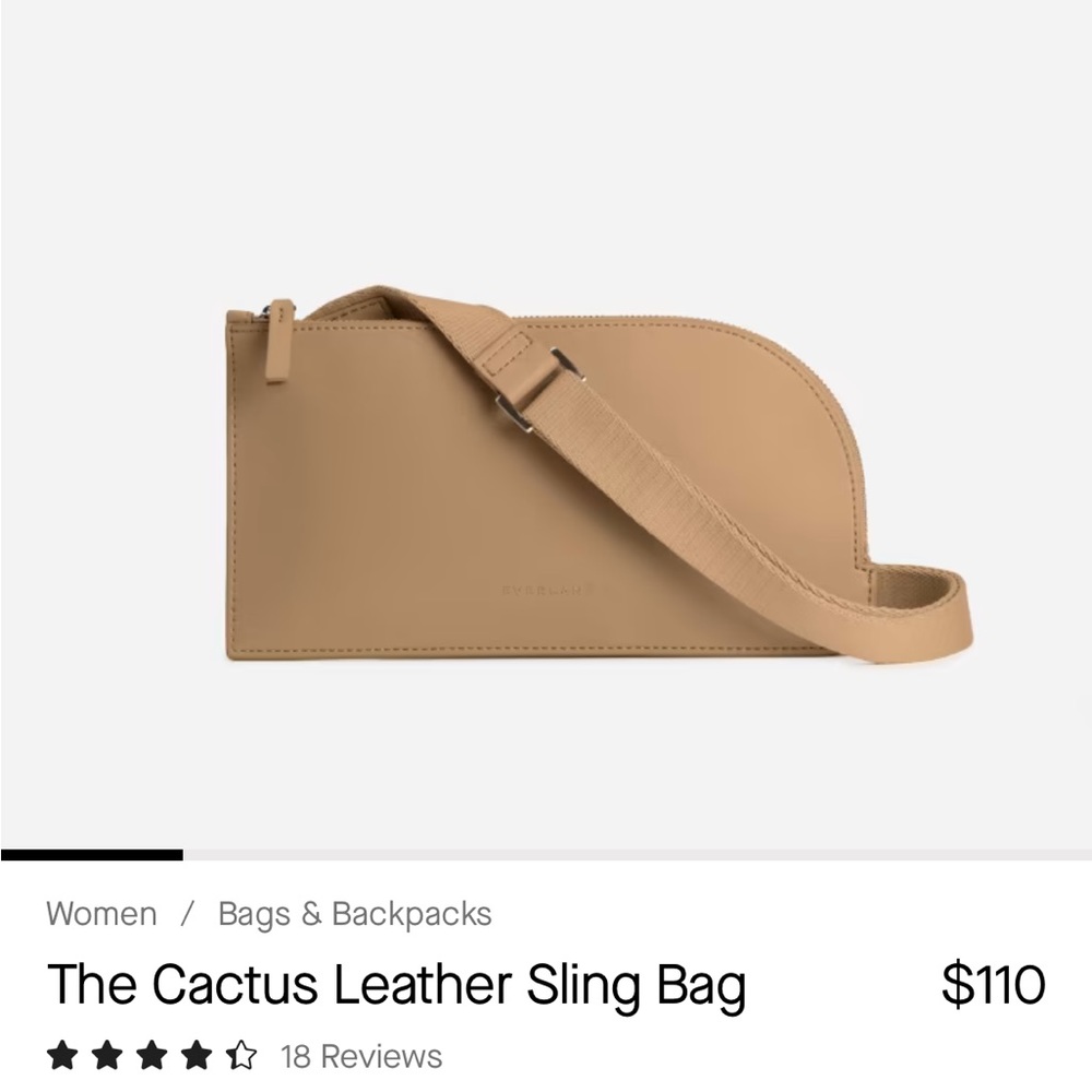 Everlane Cactus Leather Sling Bag